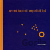 Magnetický bod