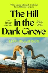 The Hill in the Dark Grove