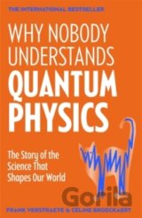 Why Nobody Understands Quantum Physics