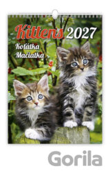 Koťátka 2027 - nástěnný kalendář