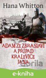Adam ze Zbraslavi a případ kralevice Jana