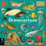 Oceanarium 500-Piece Jigsaw Puzzle