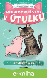 Dobrodružství v útulku – Splněný sen