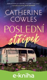 Poslední střípek