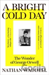 A Bright Cold Day