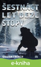 Šestnáct let beze stopy