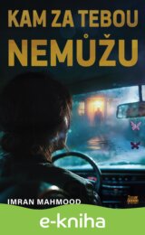 Kam za tebou nemůžu