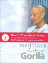Meditace + CD Flétna pro meditaci