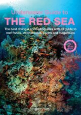 An Underwater Guide to the Red Sea