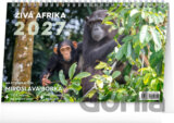 NOTIQUE Stolní kalendář Živá Afrika 2027