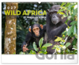 NOTIQUE nástěnný kalendář Wild Africa (Živá Afrika) 2027-