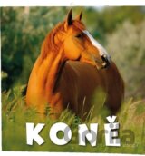 Koně 2027 - nástěnný kalendář
