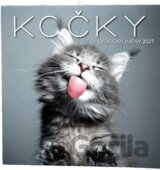 Kočky 2027 - nástěnný kalendář