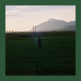 Asgeir:  Julia