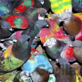 Blawan:  Sickelixir