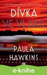 Dívka ve vlaku