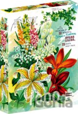 Puzzle Vintage květinový katalog (1000 dílků)