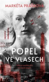Popel ve vlasech