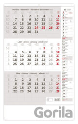 Tříměsíční nástěnný kalendář s poznámkami 2027 (šedý)