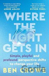 Where the Light Gets In