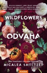 Odvaha