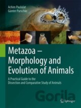 Metazoa – Morphology and Evolution of Animals