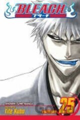 Bleach 25