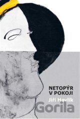 Netopýr v pokoji