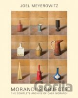 Joel Meyerowitz: Morandis Objects