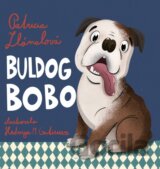 Buldog Bobo
