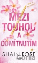 Mezi touhou a odmítnutím