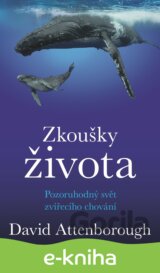 Zkoušky života