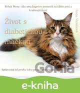 Život s diabetickou mačkou