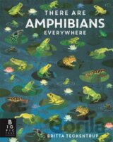 There Are Amphibians Everywhere