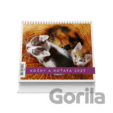 Kočky a koťata 2027 - Stolní kalendář
