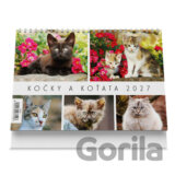 Kočky a koťata 2027 - Stolní kalendář