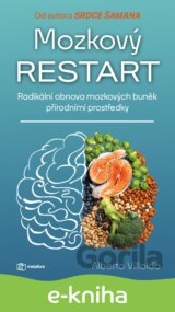 Mozkový restart