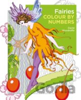 Fairies Colour by Numbers