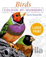 Large Print Colour by Numbers Birds