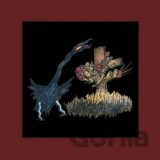 Drive-By Truckers:  Definitive Decoration Day
