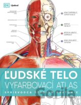 Ľudské telo - vyfarbovací atlas