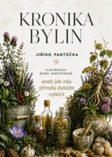 Kronika bylin