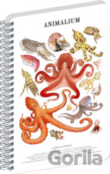 NOTIQUE Špirálový blok Animalium – Hlavonožce