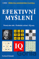 Efektivní myšlení
