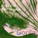 SKOUMAL PETR: NEBO CIBULE