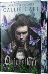 Quicksilver (slovenský jazyk)
