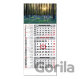 Štandard 3-mesačný kombinovaný nástenný kalendár 2027 - rozkvitnutý les