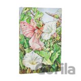 Paperblanks - 12-mesačný týždenný diár Bindweed Fairy 2027