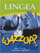 Wazzup? slovník slangu a hovorové angličtiny