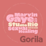 Marvin Gaye & Studio Rio:  7-Sexual Healing